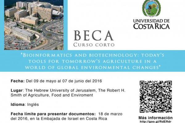Beca a Israel - The Hebrew University of Jerusalem